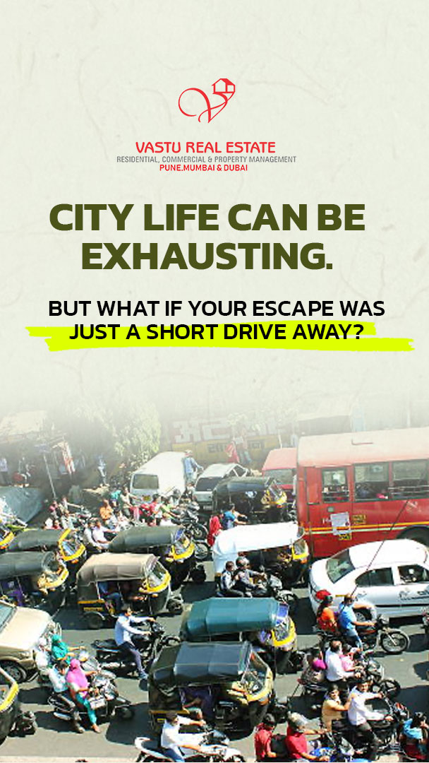 CHAURASIA FARMS - Image 2